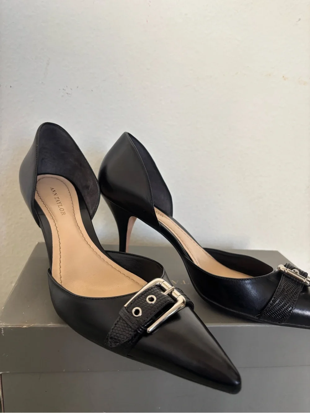 Ann Taylor ann taylor